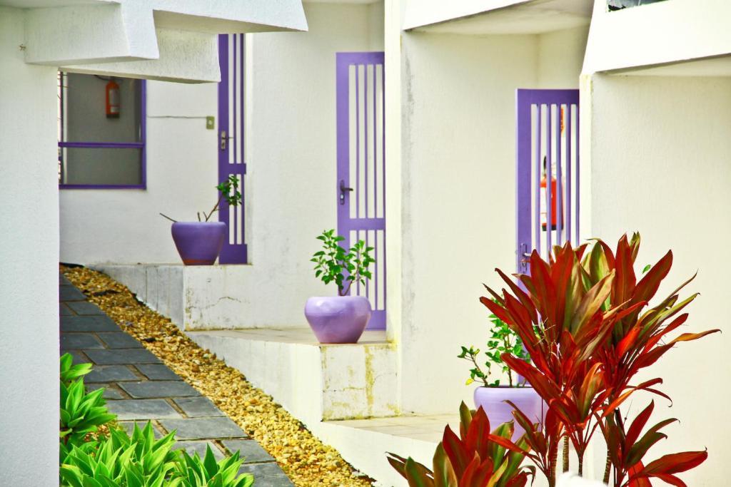 Belveder Apartamento *